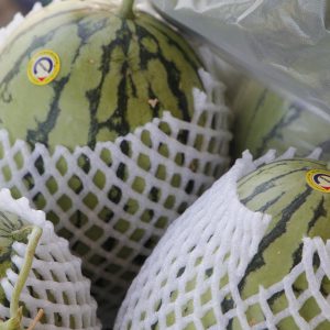 Dưa hấu Nhơn Thọ