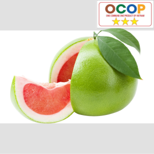 Bưởi da xanh An Lão