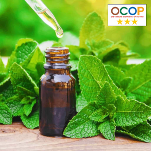 Tinh dầu Bạc hà Hải Đăng