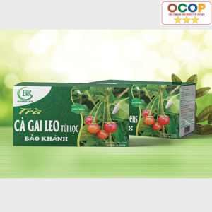 Trà cà gai leo Bảo Khánh