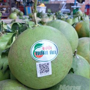 Bưởi Hoài Ân
