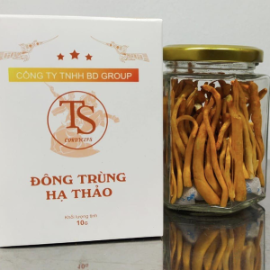 Đông trùng hạ thảo TS